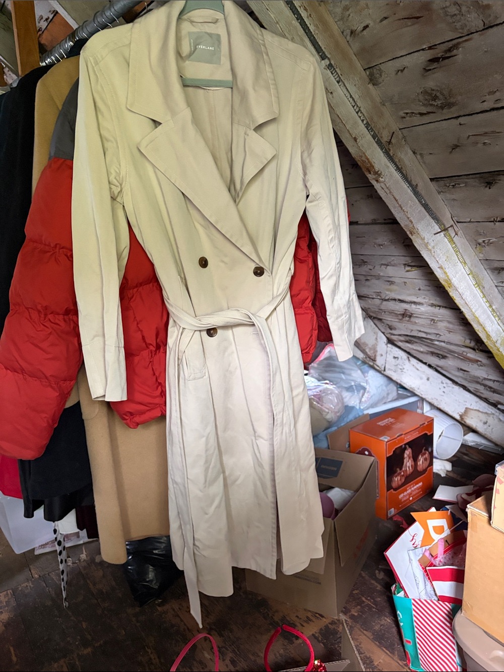 Everlane Cream Double-Breasted Trench Coat with Belt